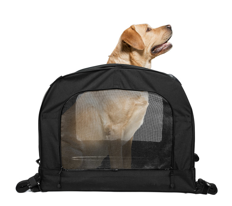 Motorcycle dog carrier - X-LARGE CAPSULE