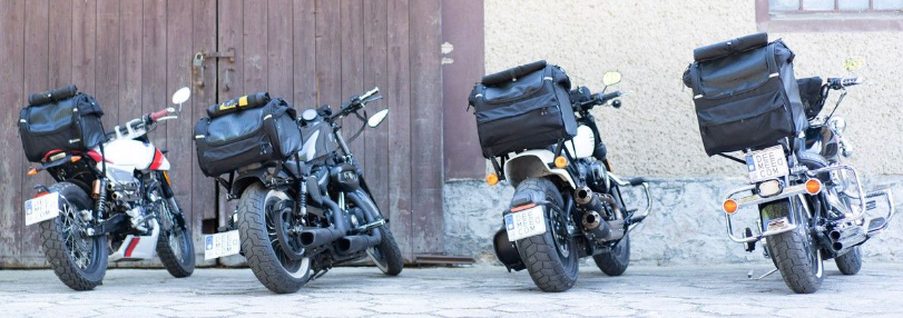 DEEMEED Petbag sacoche moto pour chien (8-11 kg) imperméable et portable  triple système de ventilation, Sissy bar, porte-bagages ou siège Fabriqué  en