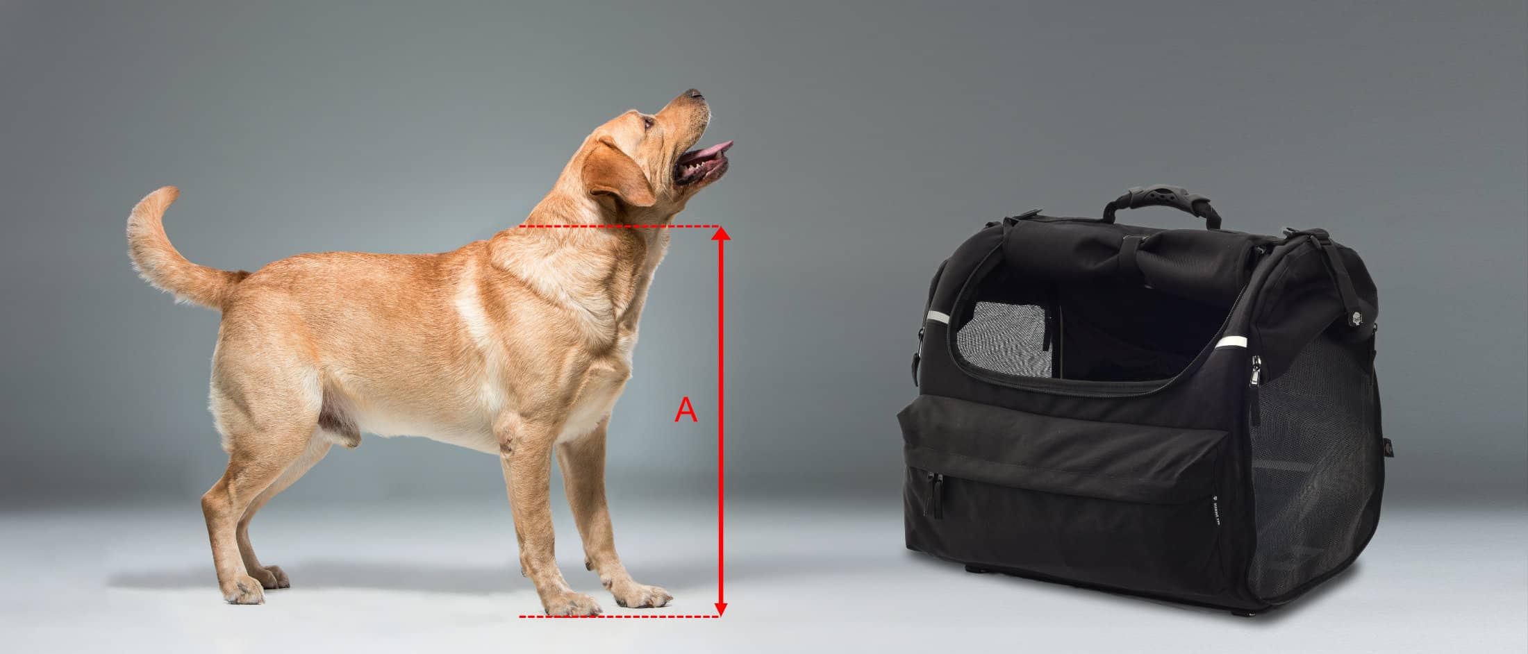 DEEMEED PET BAG - One of the best large motorcycle dog carrier for