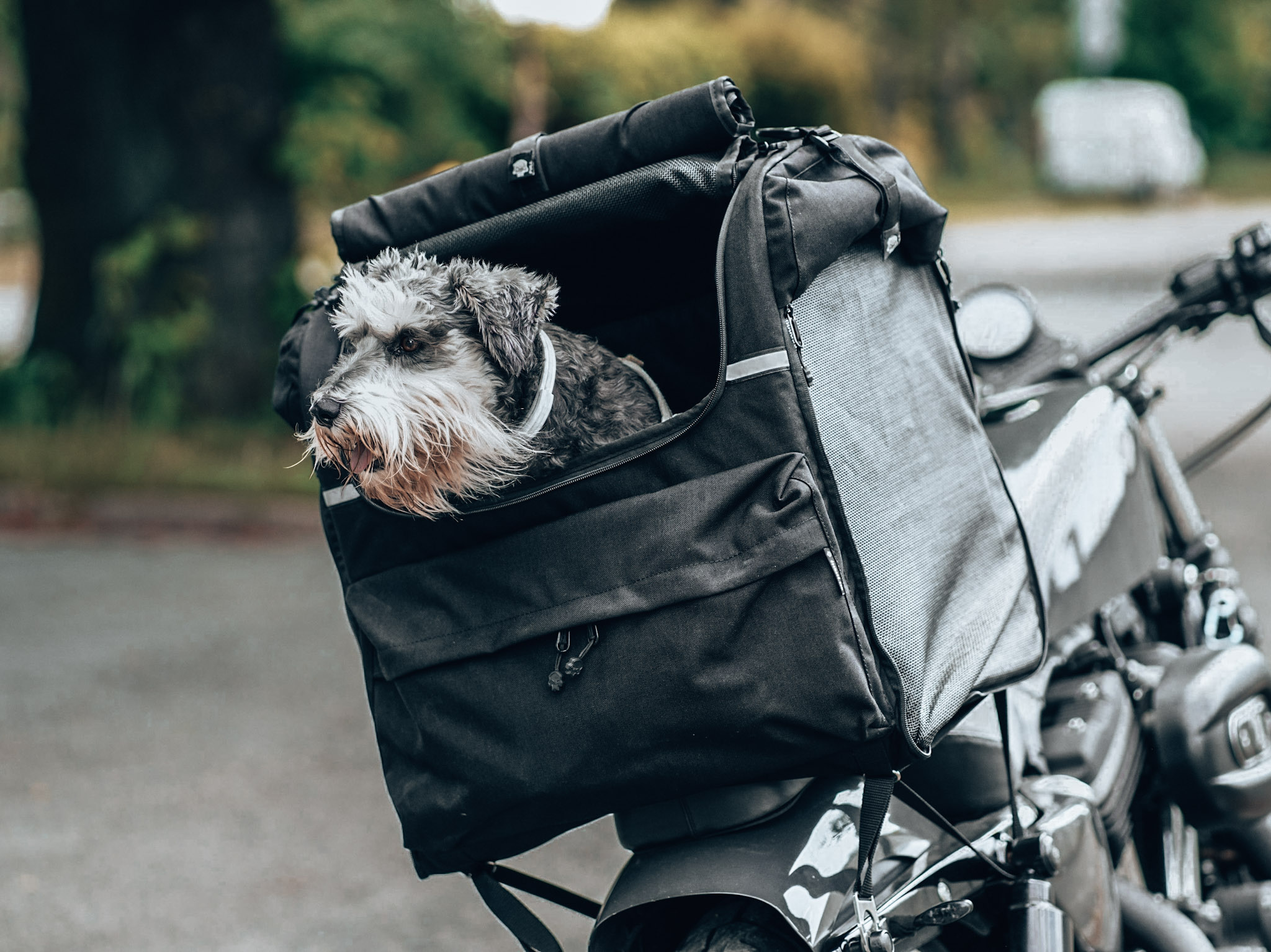 large breed dog carrier motorcycle - pet bag