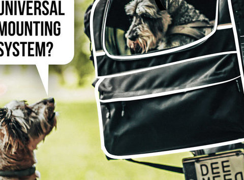 How do you transport your dog on the passenger seat of a scooter or sports bike without a luggage compartment or sissybar?
