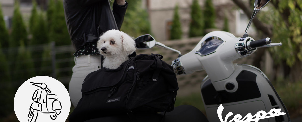 How to travel [safely] with a dog on a scooter, Vespa or city motorcycle or bike?